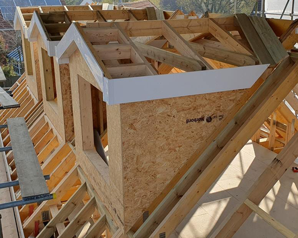 roofline - roof repairs services